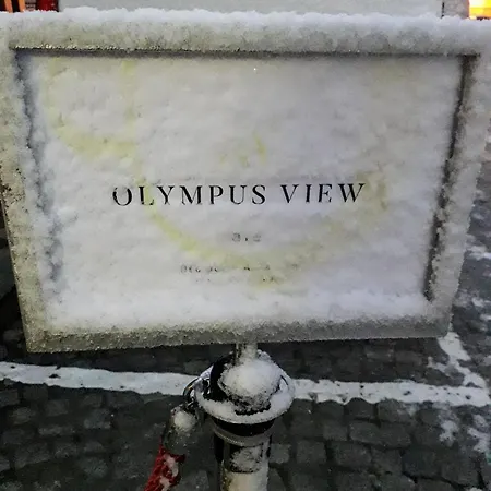 Guest house Olympus View Sauna &