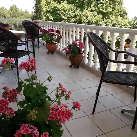 Guest house Olympus View Sauna &