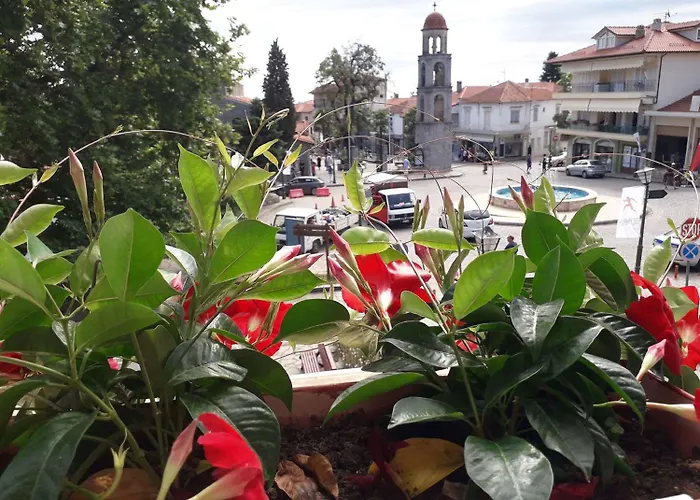 Olympus View Sauna&spa Pensión 4*