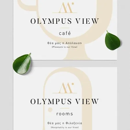 Πανσιόν Olympus View Sauna & Λιτόχωρο