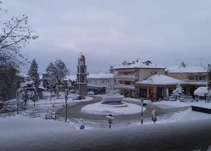 Olympus View Sauna & בית הארחה ליטוחורון