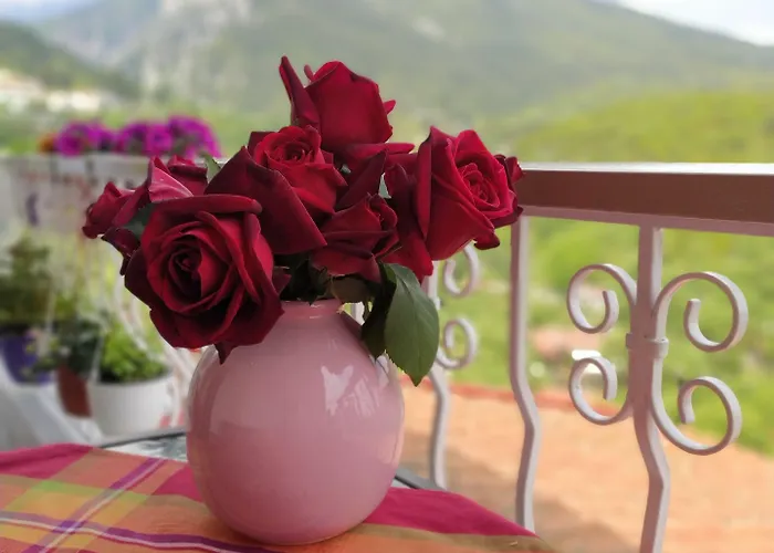 בית הארחה Olympus View Sauna &