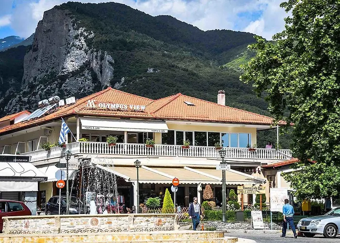 Olympus View Sauna & בית הארחה